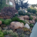 Landscape Expressions - Landscape Designers & Consultants