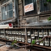 Mark Castin Plumbing gallery