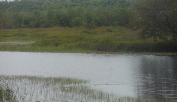 Wild Center - Tupper Lake, NY