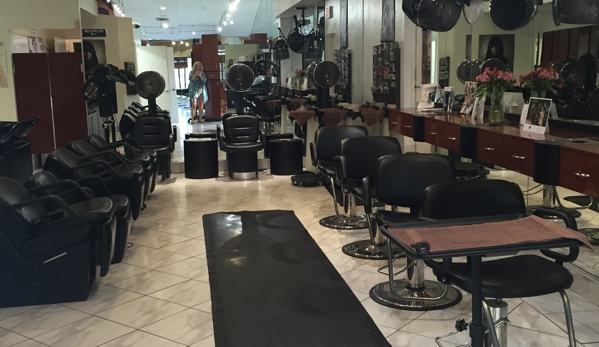 Ellen Sallia Hair Extensions /  La Mirage Salon & Spa - Palm Harbor, FL