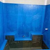 Gallery Image Number 6