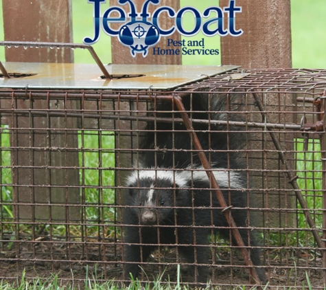 Jeffcoat Pest & Home - Columbia, SC