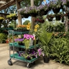 Berns Garden Center gallery