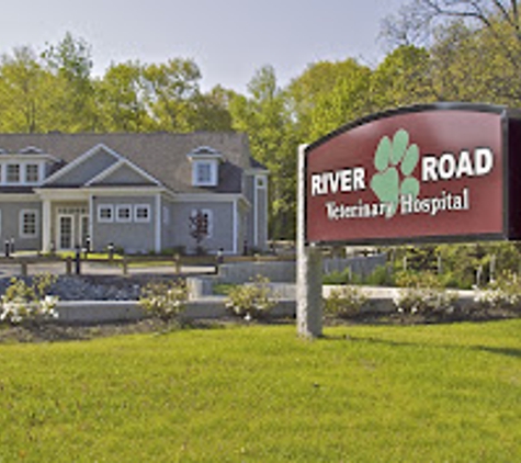 River Road Veterinary Hospital - Andover, MA