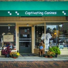 Captivating Canines