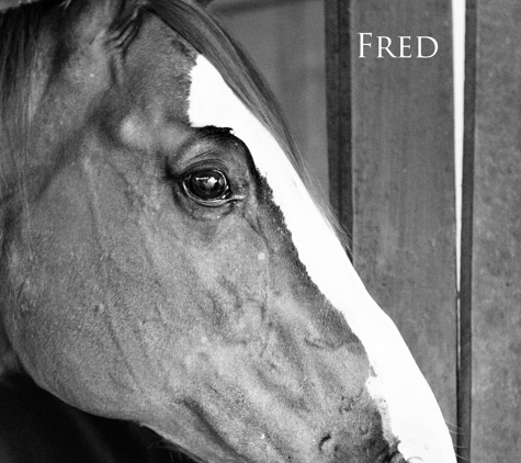 Ogburn Stables - Tobaccoville, NC