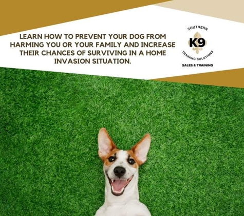 Southern K-9 Training Solutions - Fairhope, AL