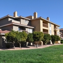 Chazal Scottsdale Apartments - Apartments