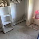 Mountain Restoration Services