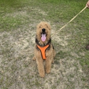 Serenity Pet Sitting & Boarding - Hostels