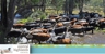 Central Highlands Council - Development & Environmental Services