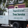 Hagstrom & Sons Tree Service