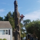 Arels Tree Service