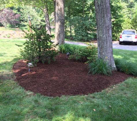 Collegiate Landscaping LLC - Glastonbury, CT