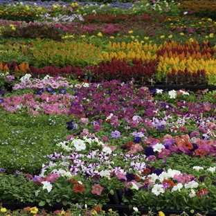 Flower Barn Nursery - Utica, MI