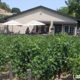 Baldacci Family Vineyards