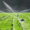 ATS Irrigation Inc gallery
