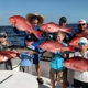 Destin FL Charter Boats