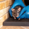 Graham Pest Solutions gallery