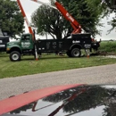 Goins Tree Service - Lawn Maintenance