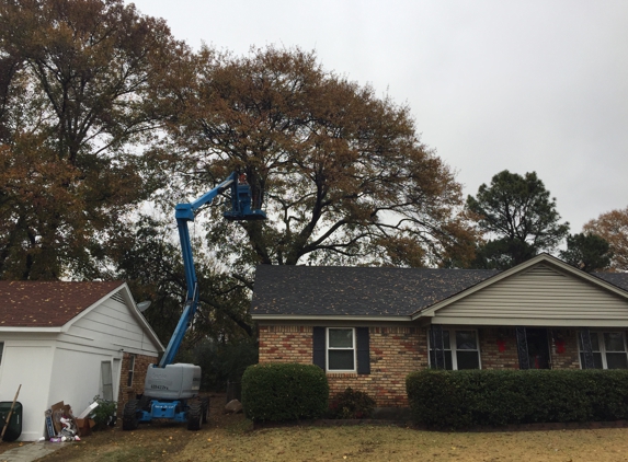 Desoto Tree Service - Hernando, MS