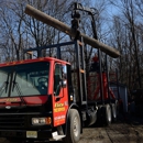 Elite Tree Services - Tree Service