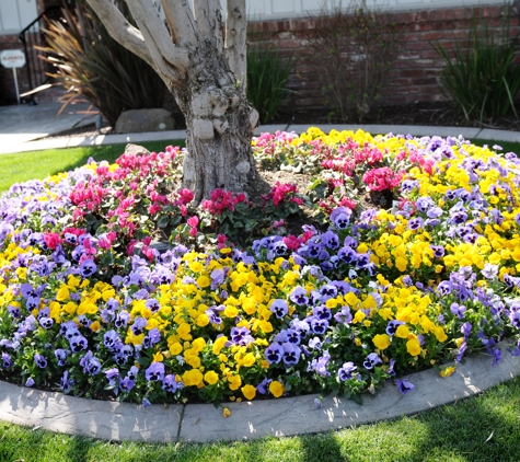 Aguiar's Landscaping - Modesto, CA