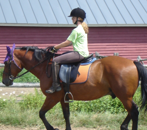 Equi-librium with Dorothy Crosby - Stoddard, NH