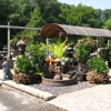 Shadycreek Nursery & Garden, Inc. gallery