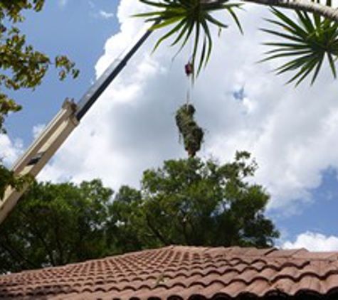 Kevin's Tree Service - Oviedo, FL