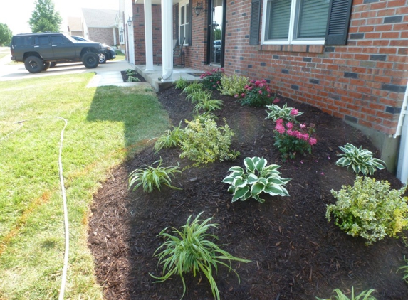 Torque Landscaping - Arnold, MO