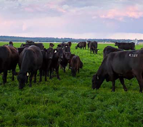 Warwick Veterinary Clinic - Warwick, QLD