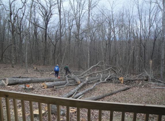 Allen's Tree Service - Cookeville, TN