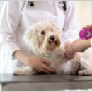 St Francis Animal Hospital of Staten Island - Veterinary Clinics & Hospitals