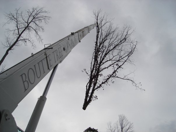 Boutte Tree, Inc. - Atlanta, GA