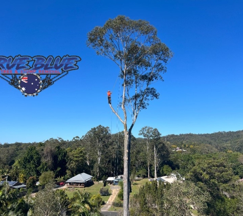 True Blue Tree and Stump Removal - Glass House Mountains, QLD
