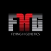 Flying H Genetics gallery