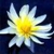 Brook Linda - Reiki