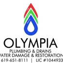 Olympia Services - Mold Remediation