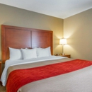 Comfort Inn Bolivar - Motels