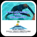 Blue Magic Pool Nic Services Corp - Leak Detecting Service