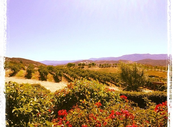 Leoness Cellars - Temecula, CA