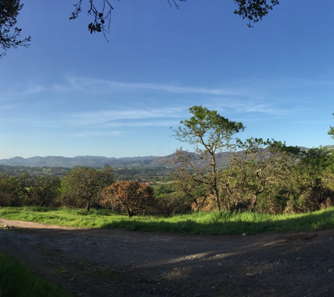 Skyline Park - Napa, CA. On a ridge up the main fire road 