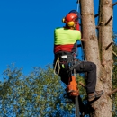 Environmental Tree Care - Tree Service