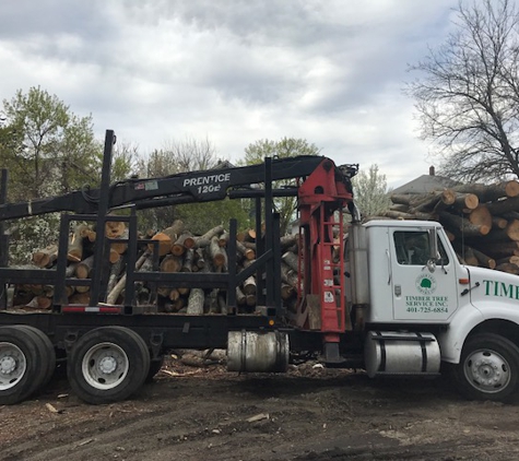 Timber Tree Service - Pawtucket, RI