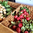 Ollin Farms - Farms