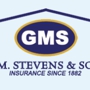 Geo. M. Stevens & Son Co. Insurance