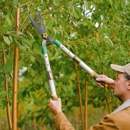 Woodys Arbor Worx - Tree Service
