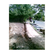 Gallery Image Number 5