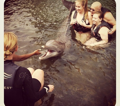 Dolphin Quest Oahu - Honolulu, HI